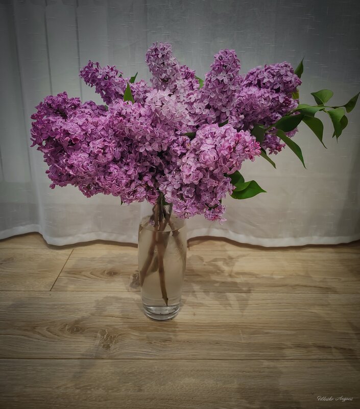 Букет сирени - Андрей Шейко