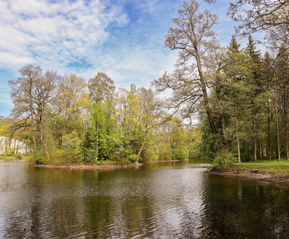 На Елагином - skijumper Иванов