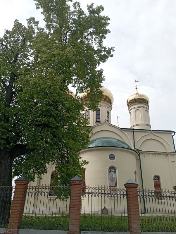 Храм в г. Раменское - Елена Семигина