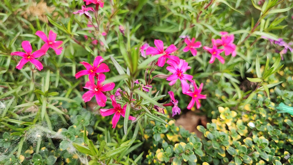 ,,, - Сергей Тимоновский