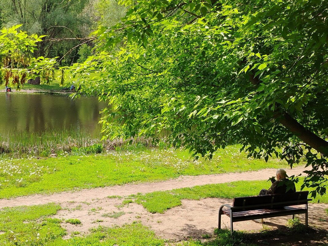 В тенечке - Надежда В тенечке - Надежда