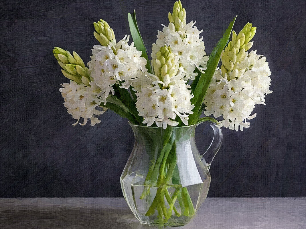 Гиацинт - Aleksey Afonin Гиацинт - Aleksey Afonin