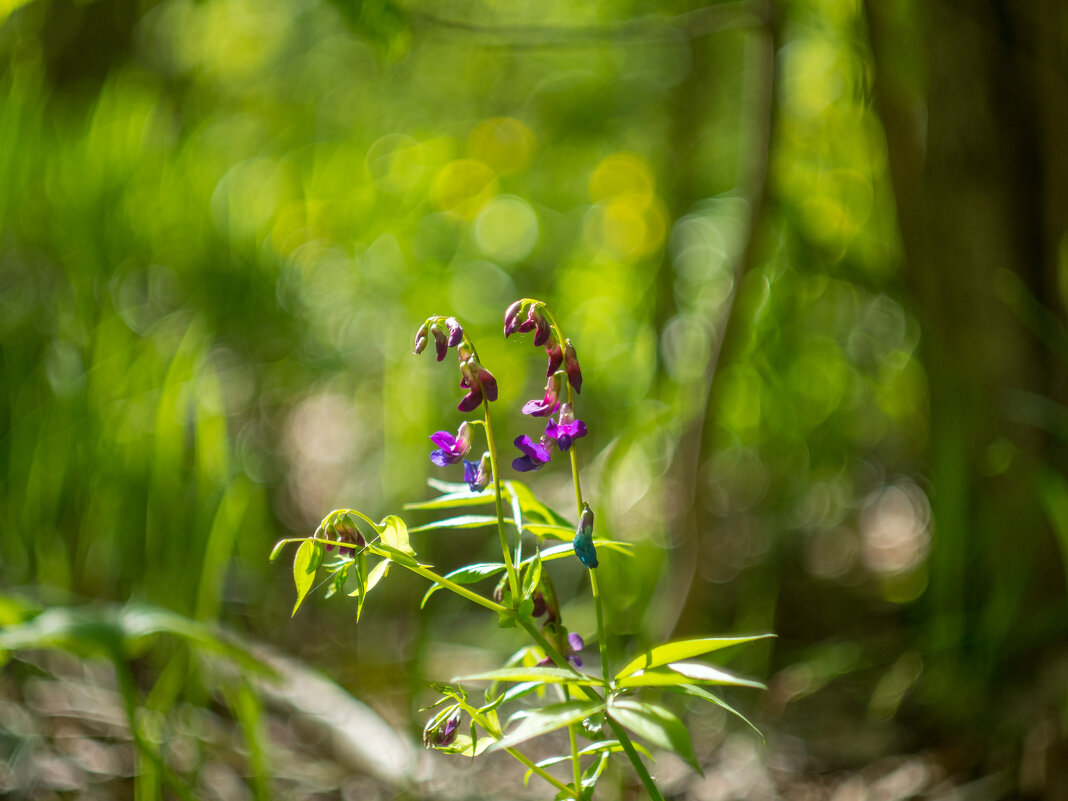 ___ - Yuriy V ___ - Yuriy V