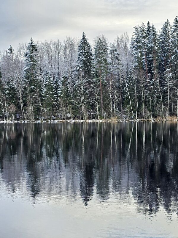 Утренний шёпот зимы. - Галина Левина