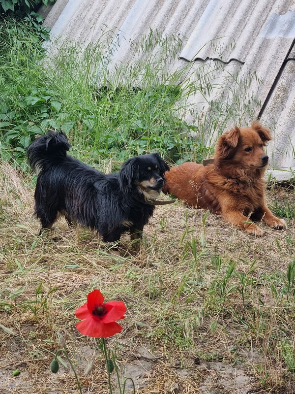 Внимание! - Наталья Внимание! - Наталья