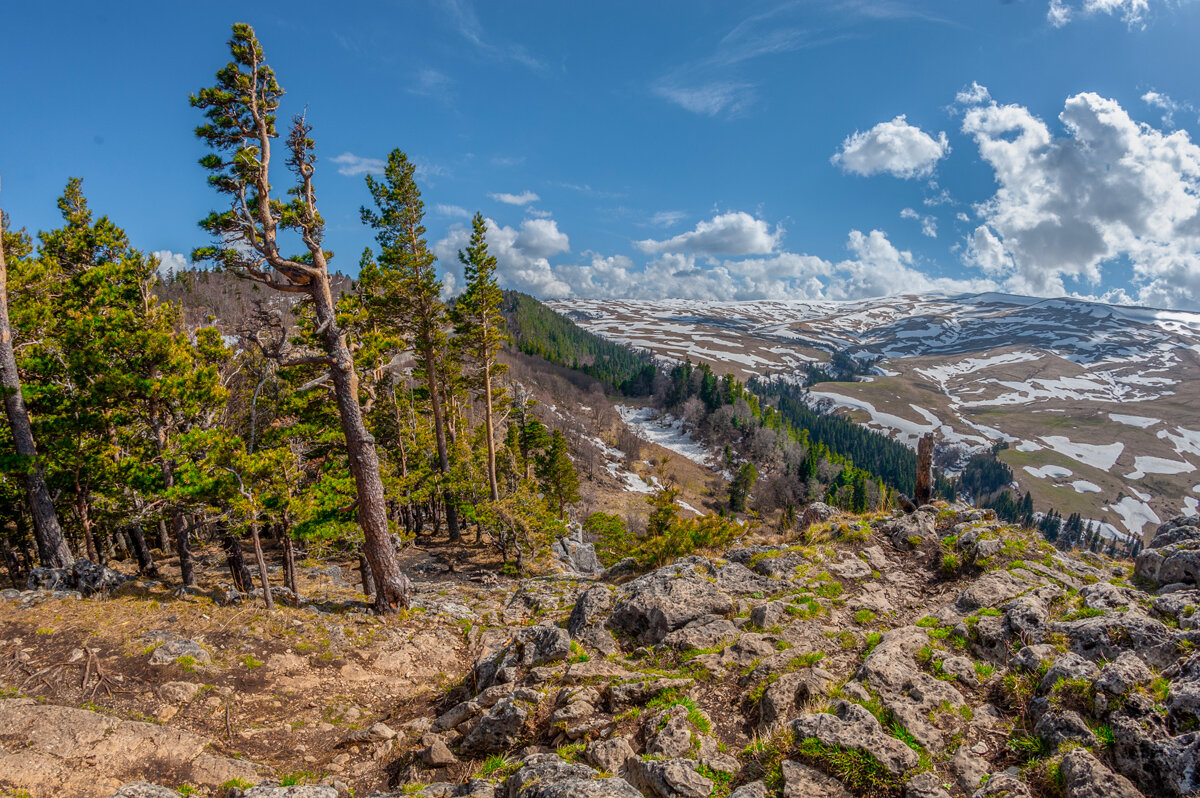 На плато Лаго-Наки. - Аnatoly Gaponenko На плато Лаго-Наки. - Аnatoly Gaponenko