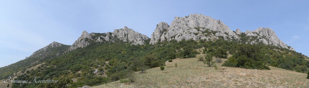 Природа Крыма - Amazing Cosmea Природа Крыма - Amazing Cosmea