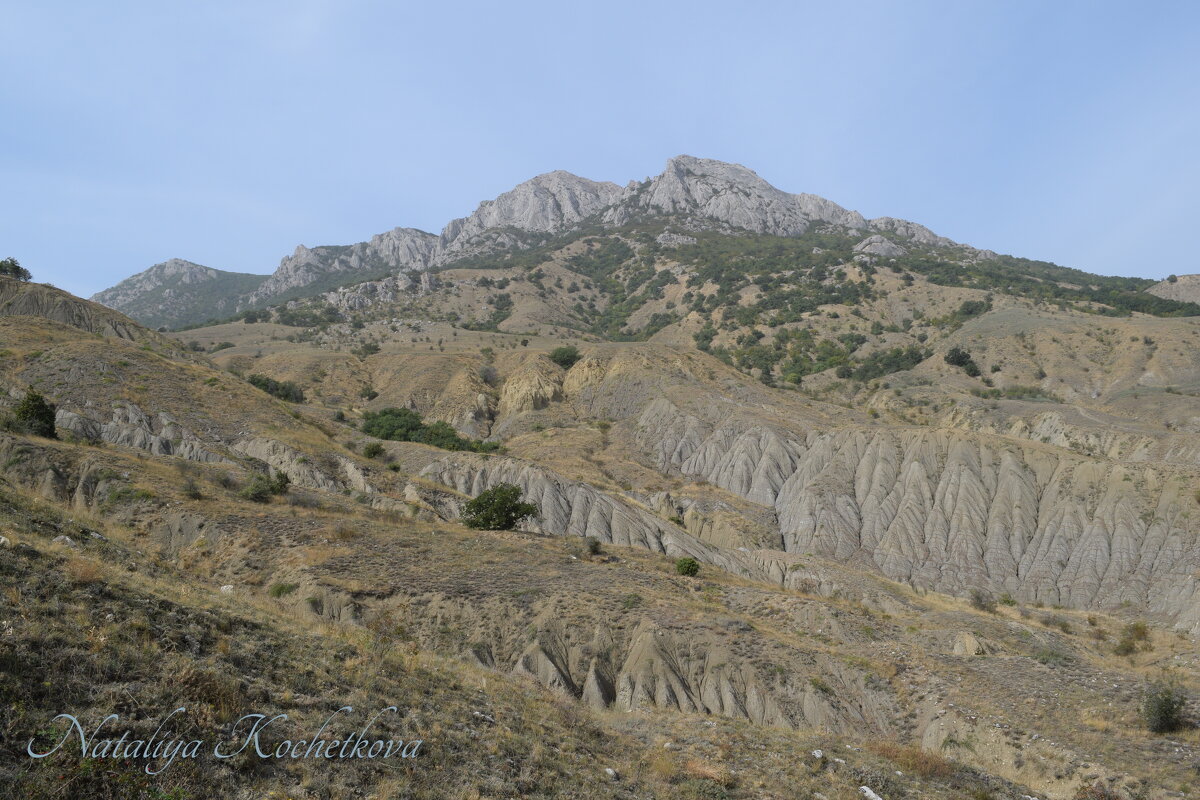 Природа Крыма - Amazing Cosmea