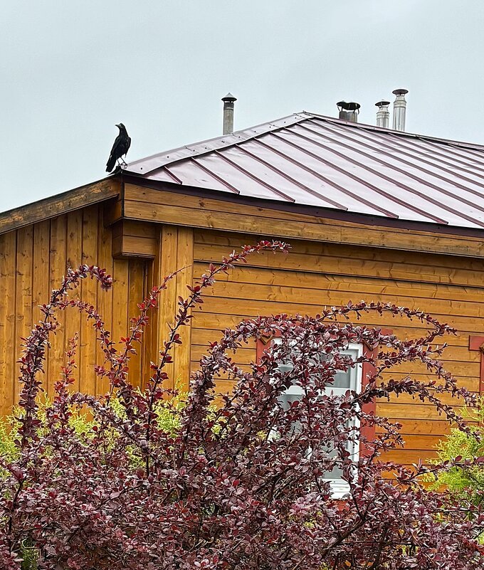 *** - Мария - Maria