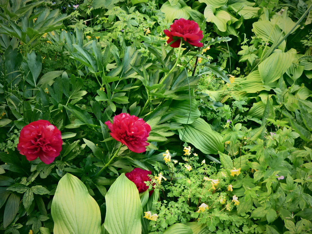 Весенние зарисовки 146 - Алексей Кузнецов