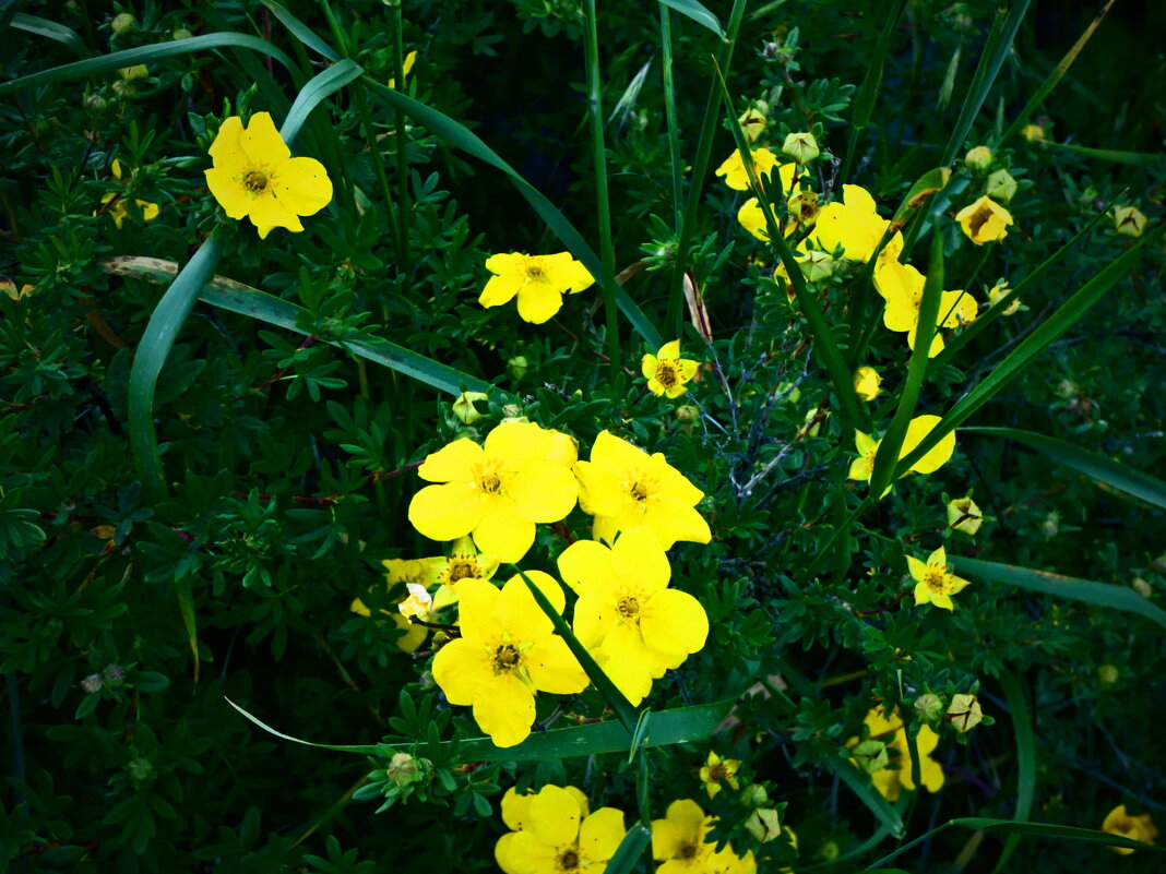 Весенние зарисовки 150 - Алексей Кузнецов