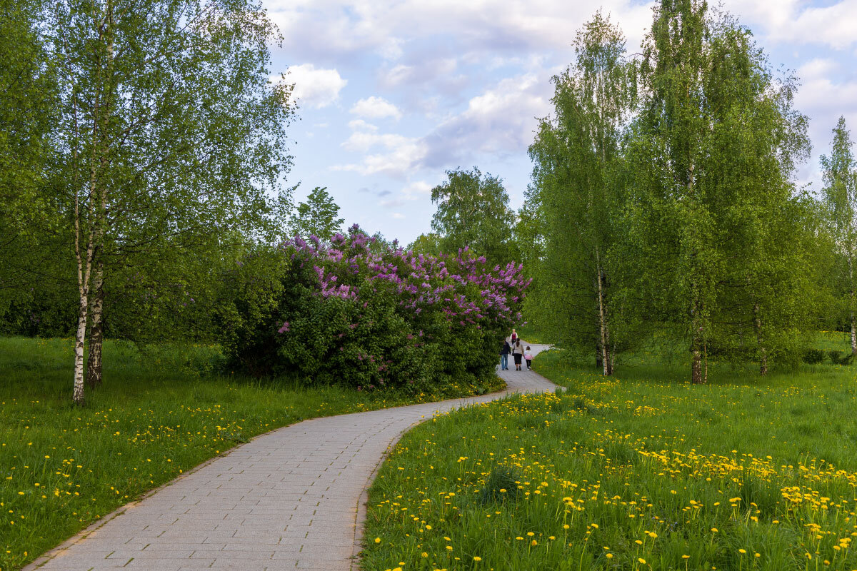Ландшафтный парк - vladimir Б