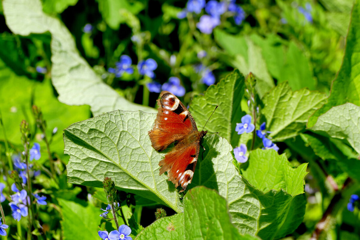 из сегодняшней съемки 1 - Александр Прокудин из сегодняшней съемки 1 - Александр Прокудин