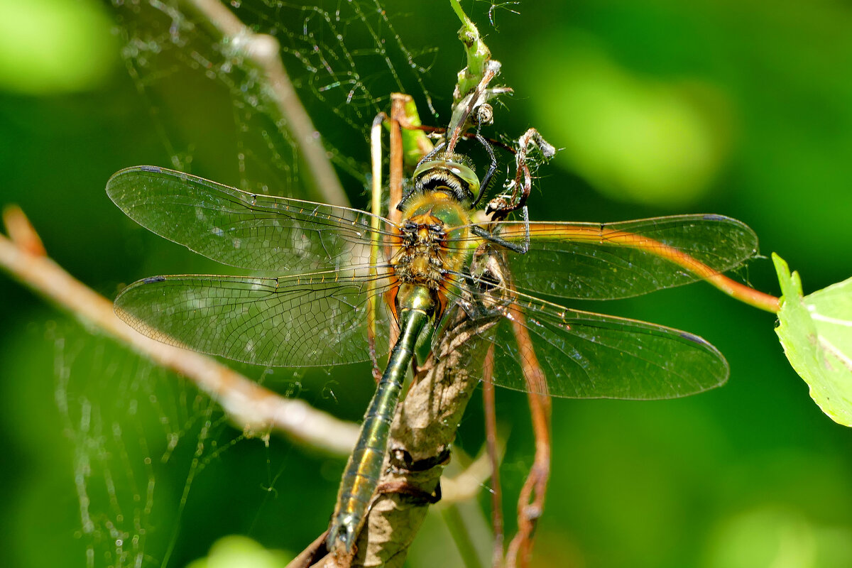 из сегодняшней съемки 4 - Александр Прокудин из сегодняшней съемки 4 - Александр Прокудин