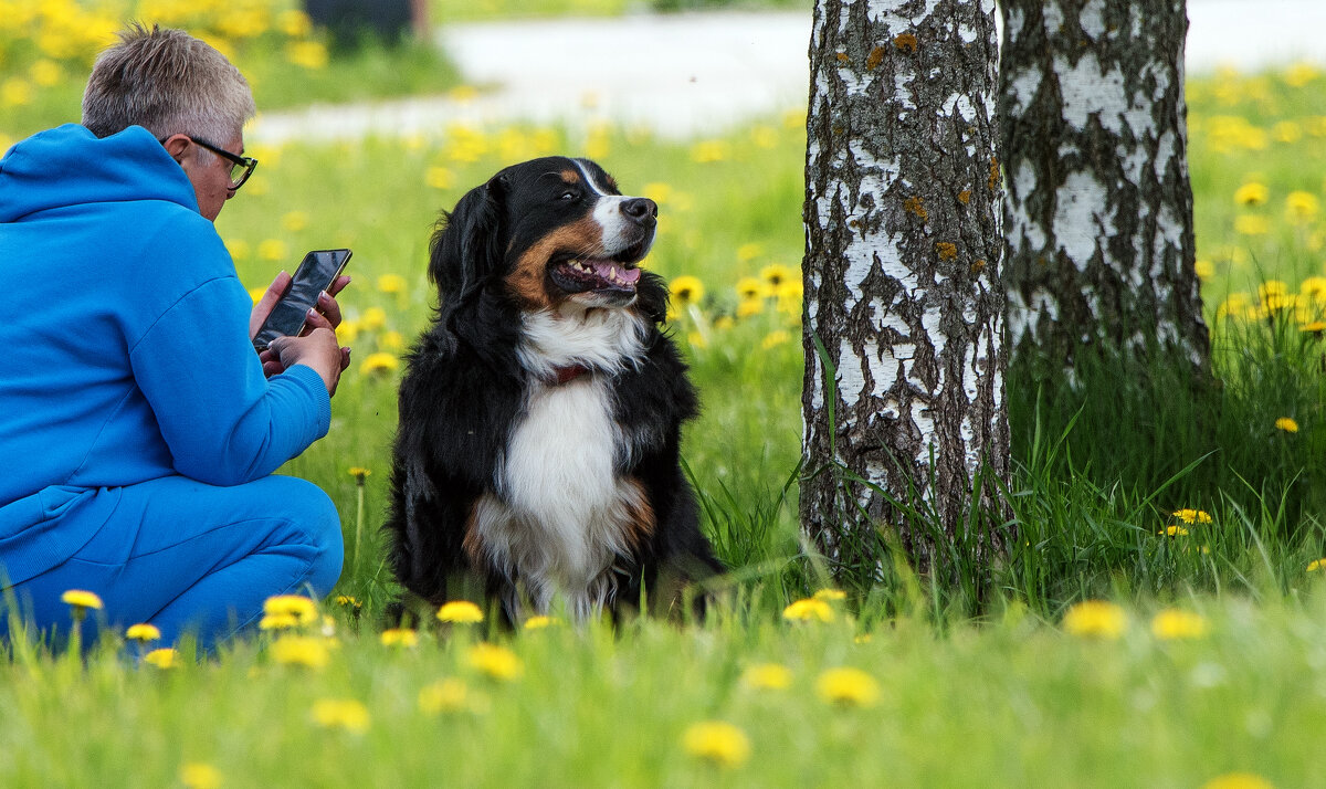 *** - Владимир Безбородов