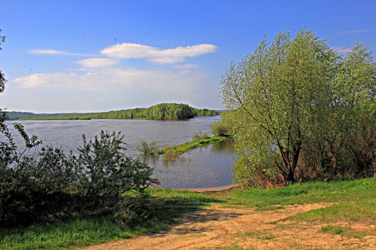 Устье реки Сеймы - Евгений Корьевщиков