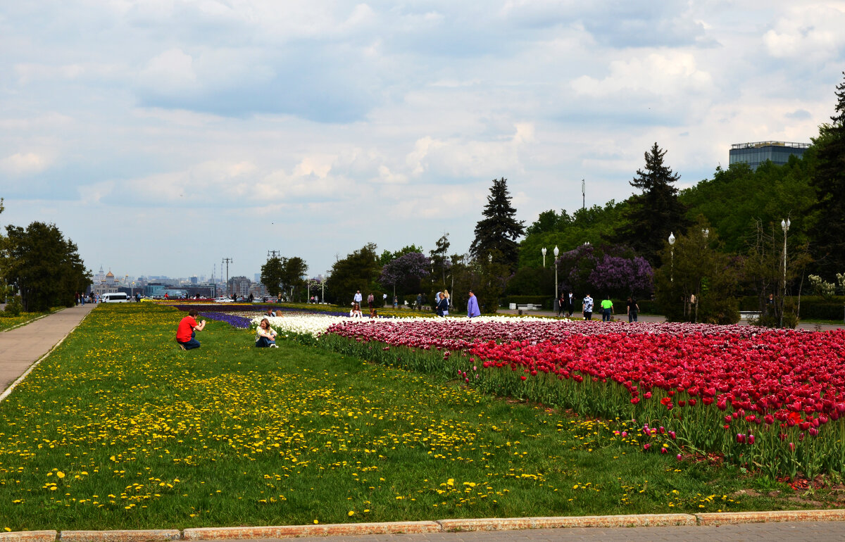 Весенняя Москва. Воробьевы горы. - Наташа ***** Весенняя Москва. Воробьевы горы. - Наташа *****