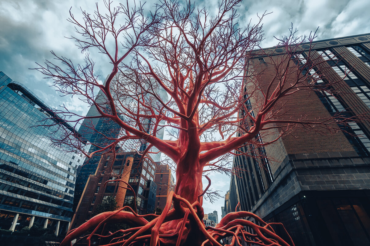 Красное дерево - Iosif Magomedov Красное дерево - Iosif Magomedov