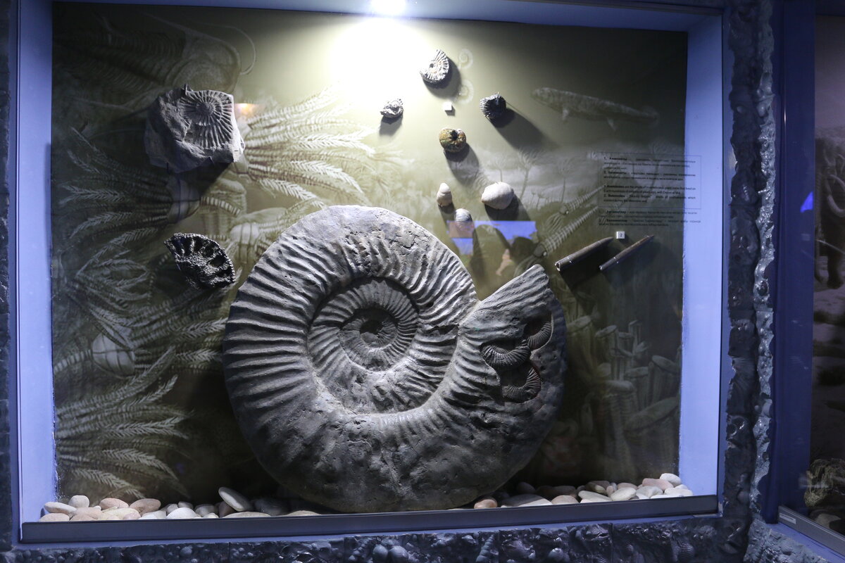 В музее истории рыболовства - Ольга В музее истории рыболовства - Ольга