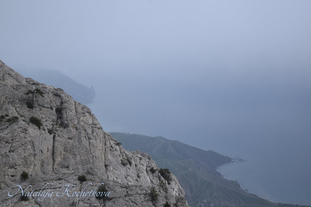 Природа Крыма - Amazing Cosmea Природа Крыма - Amazing Cosmea