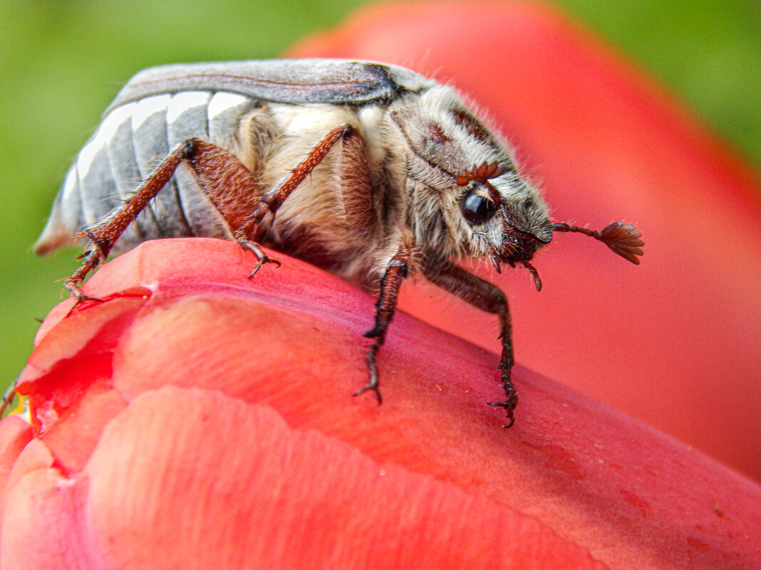 На старте - Александр Ковальчук
