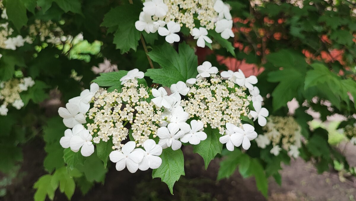 ,,, - Сергей Тимоновский ,,, - Сергей Тимоновский