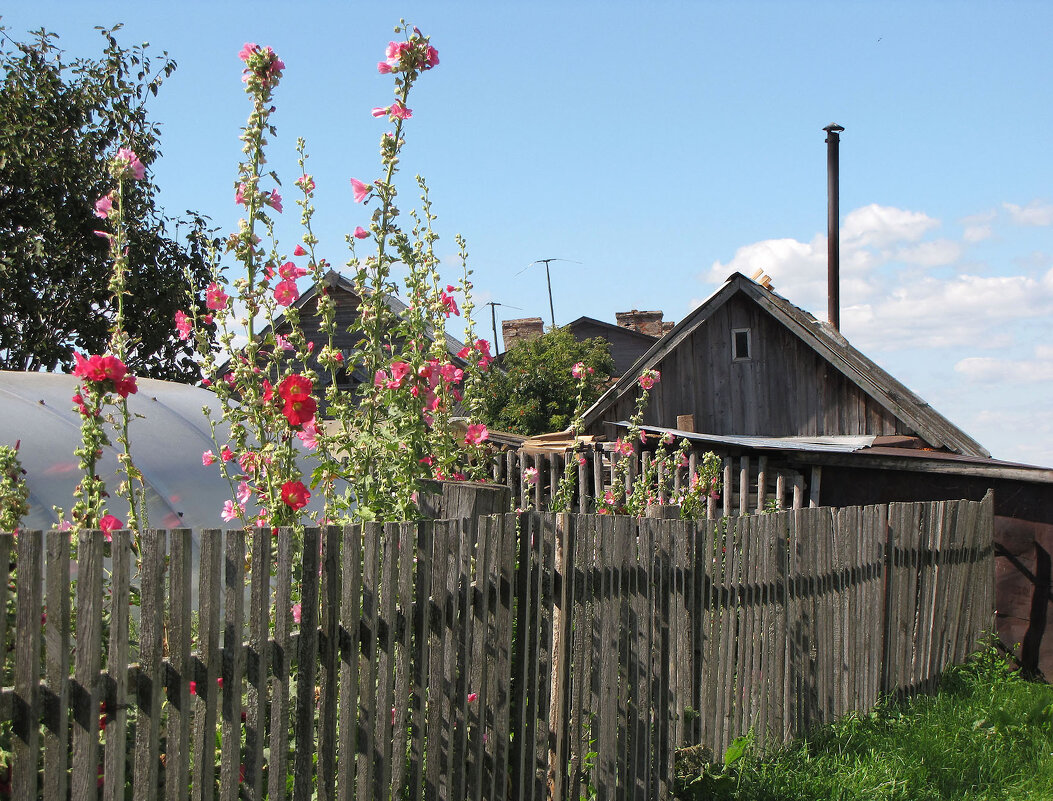 На задворках Свияжска - Александр Ильчевский 