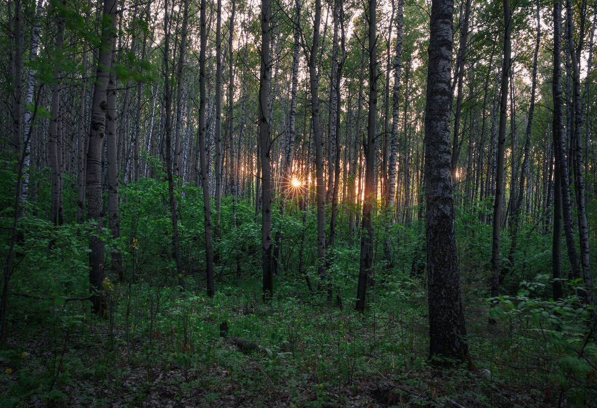 * - Александр Иванов
