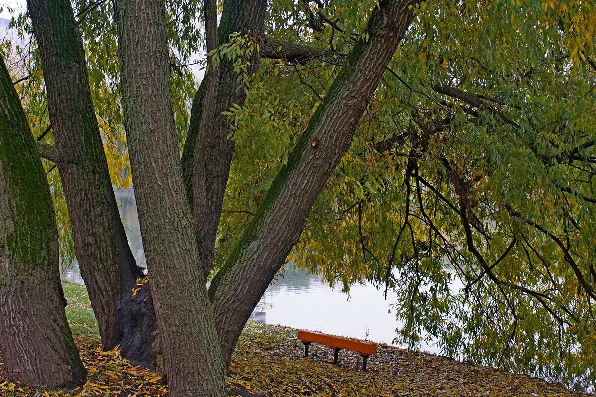 Городской парк - Игорь Белоногов Городской парк - Игорь Белоногов