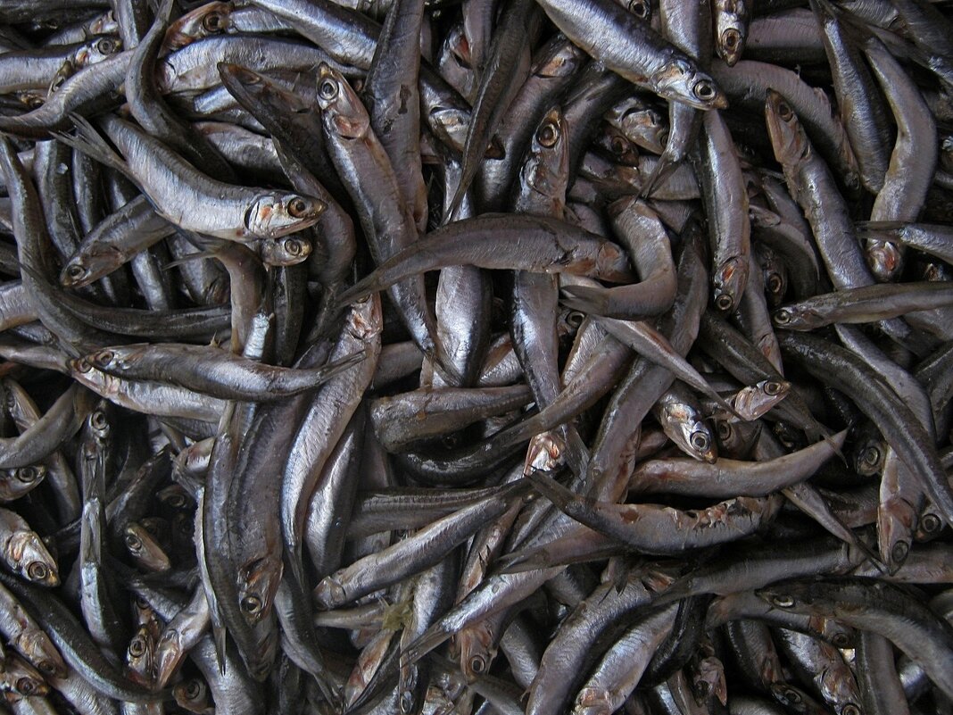 . - Александр Хоменко