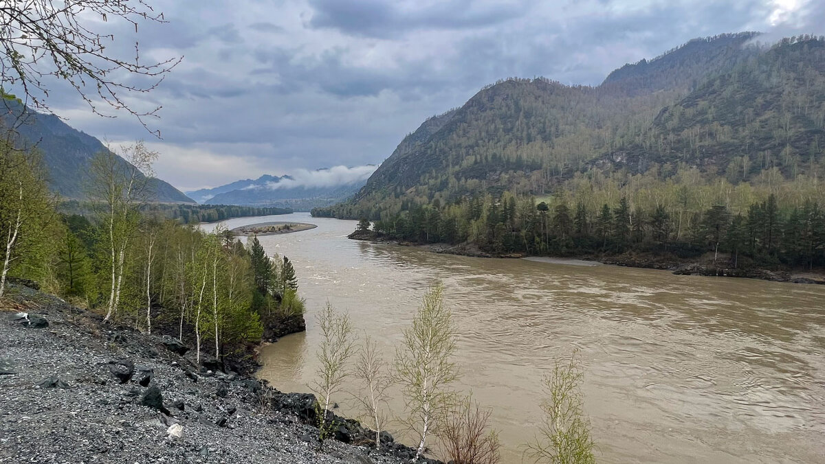 Мутные воды Катуни... - владимир 