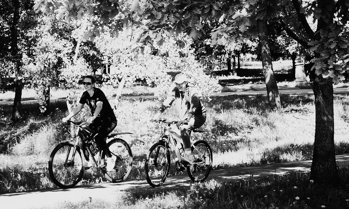 Весёлые велосипедистки. - Василий Палий