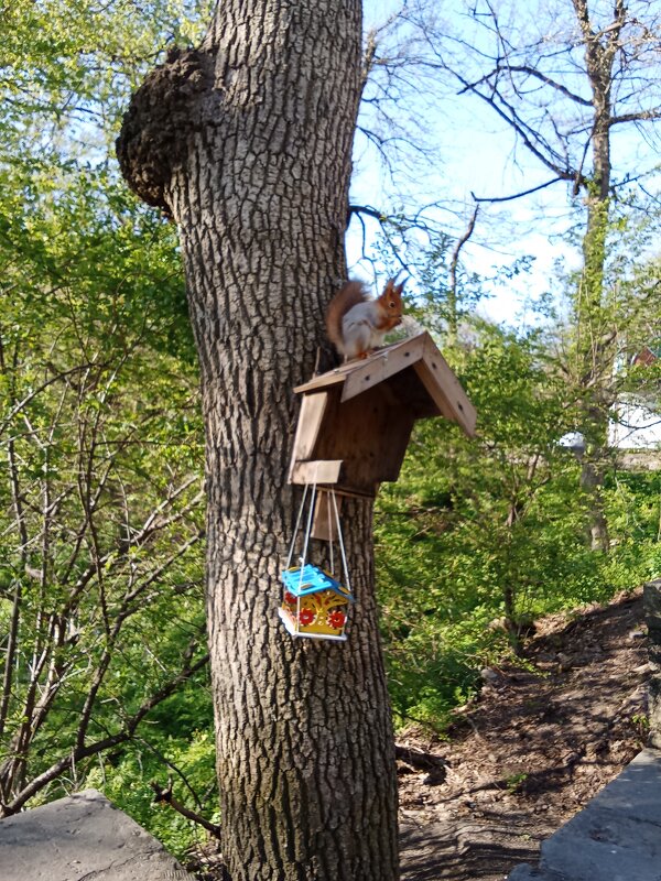 Маленькая хищница - Виктор 