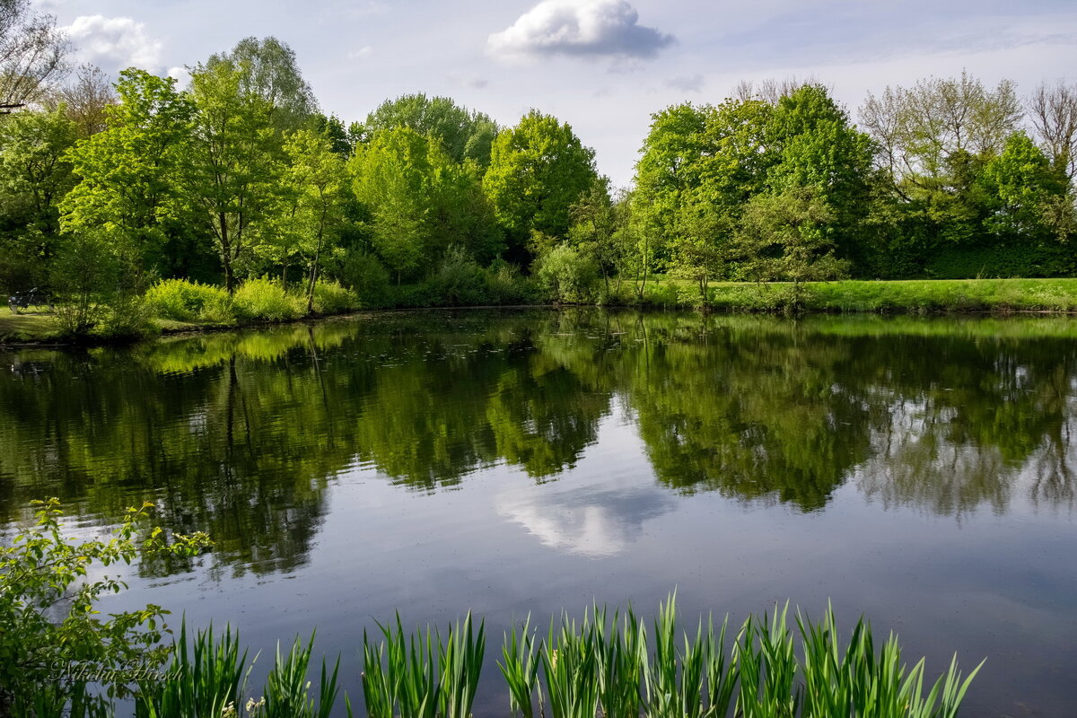 День пригожий... - Николай Гирш День пригожий... - Николай Гирш