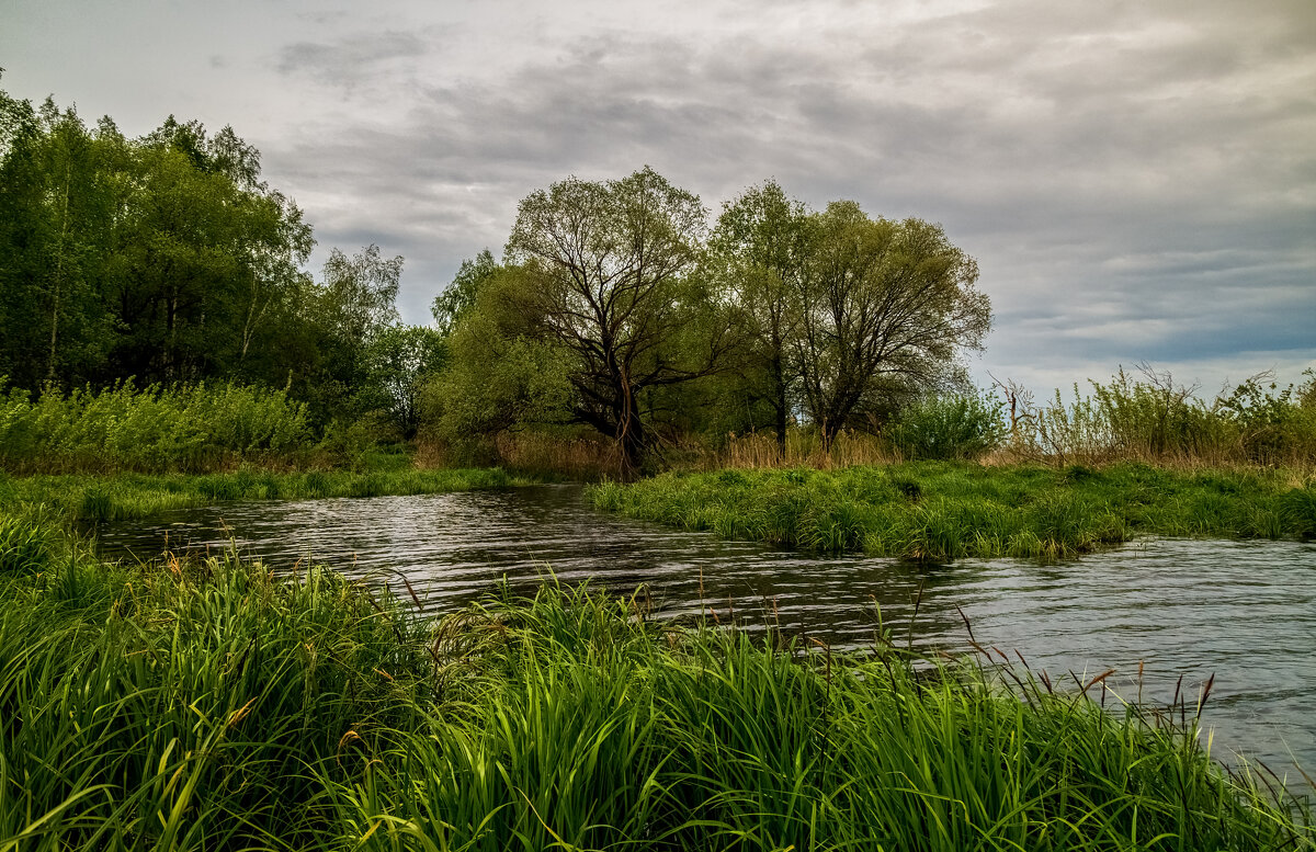 Утро на Клязьме 5 - Андрей Дворников