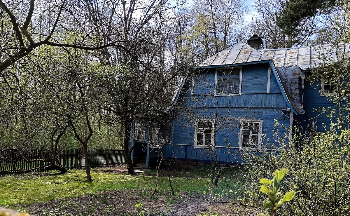 Домик в лесу... - Мария Васильева