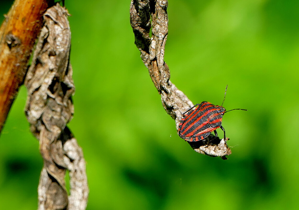 из вчерашней съемки  3 - Александр Прокудин
