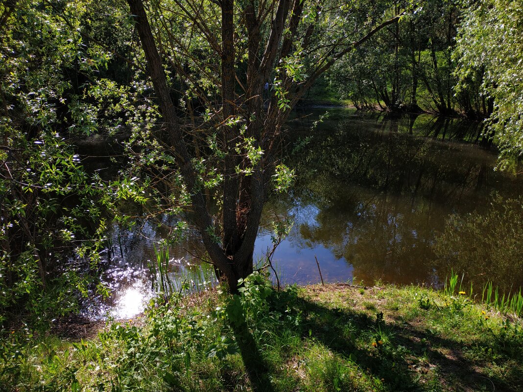 И снова тепло - Андрей Лукьянов И снова тепло - Андрей Лукьянов