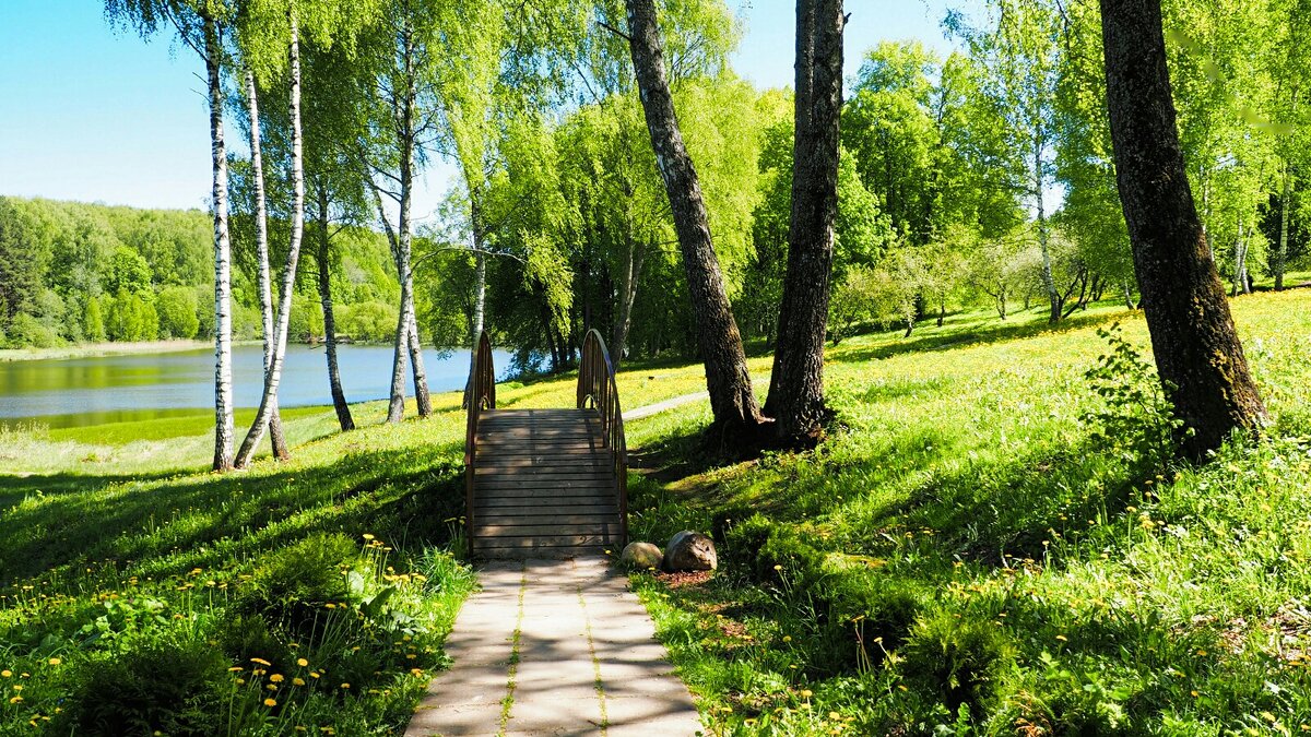 Ландшафтный дизайн - Милешкин Владимир Алексеевич 