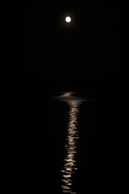 Дорожка лунная - Виктор Фоменко Дорожка лунная - Виктор Фоменко