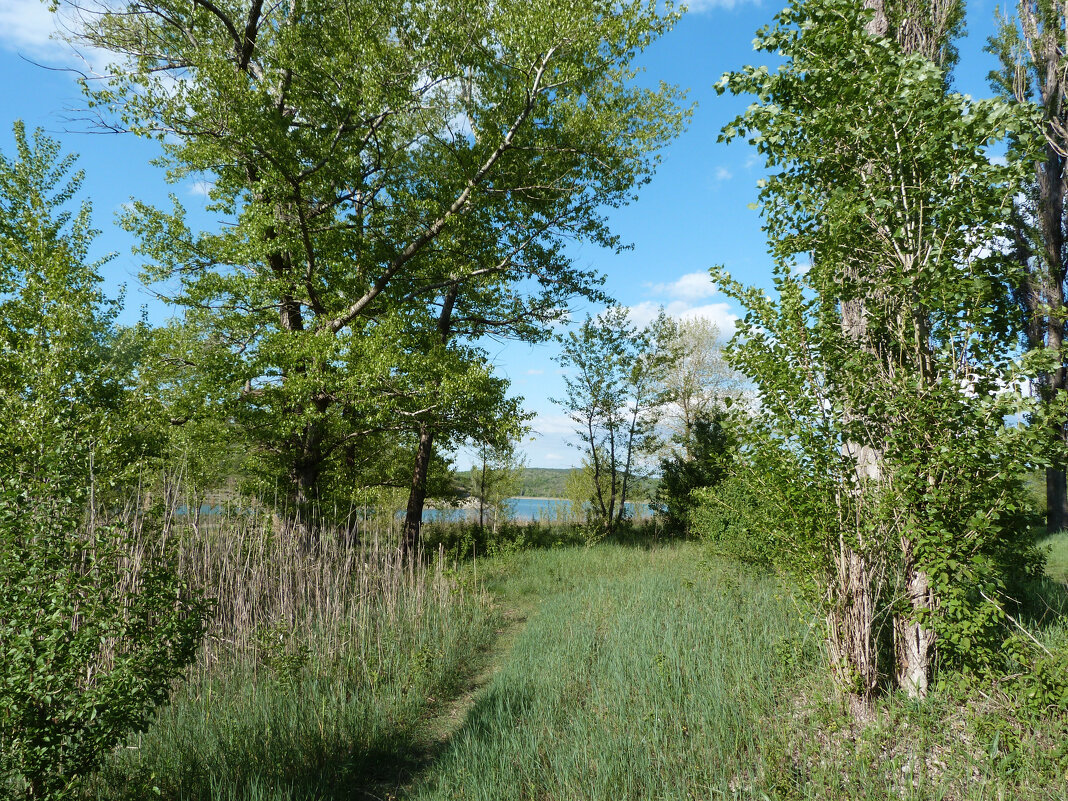 Природа Крыма - Валентин Семчишин Природа Крыма - Валентин Семчишин