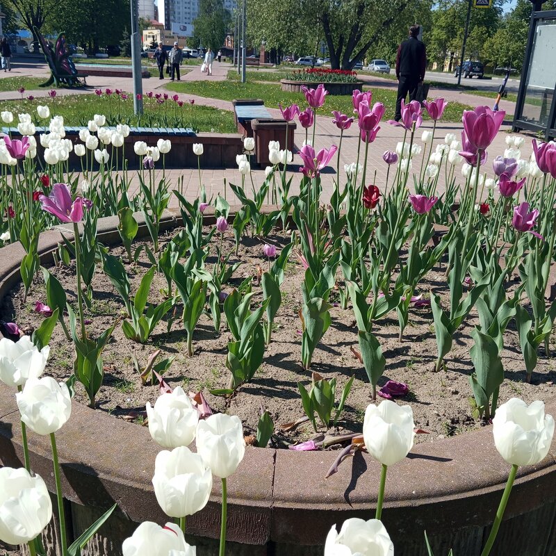 Интерьер моего города - Елена Семигина