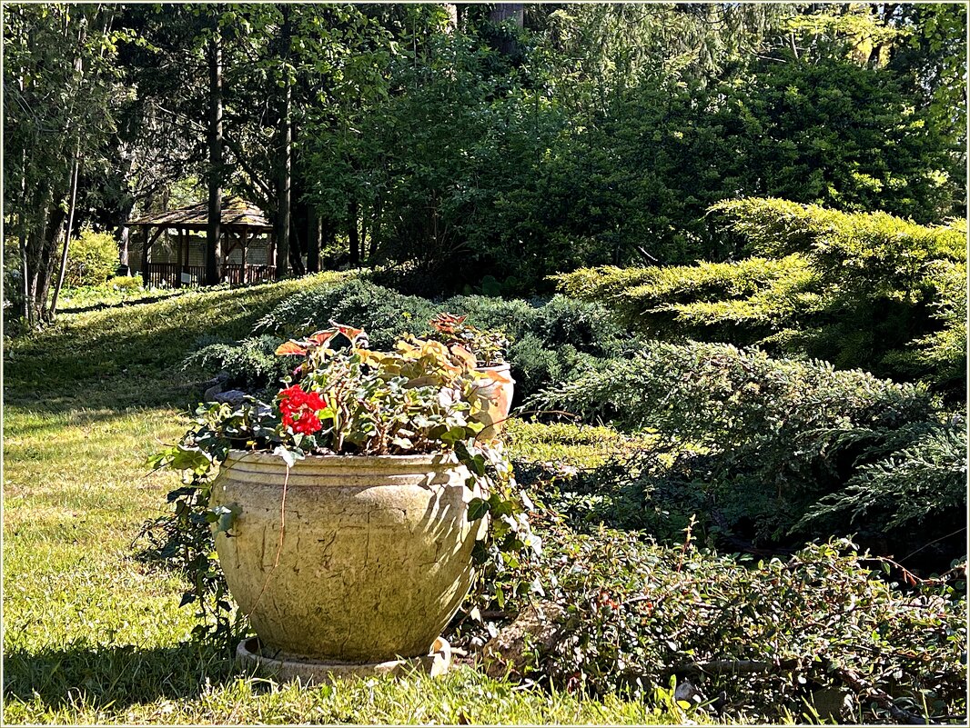 ********** - Валерия Комова ********** - Валерия Комова