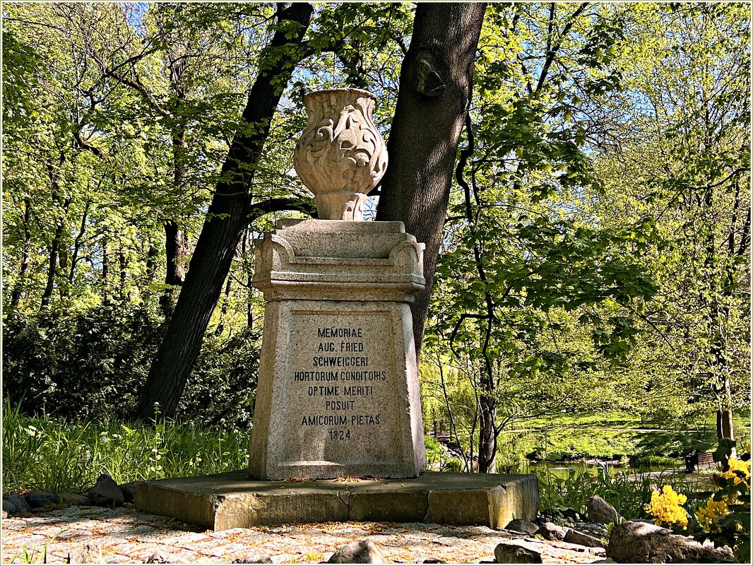 Памяти А.Ф. Швайггера. - Валерия Комова Памяти А.Ф. Швайггера. - Валерия Комова