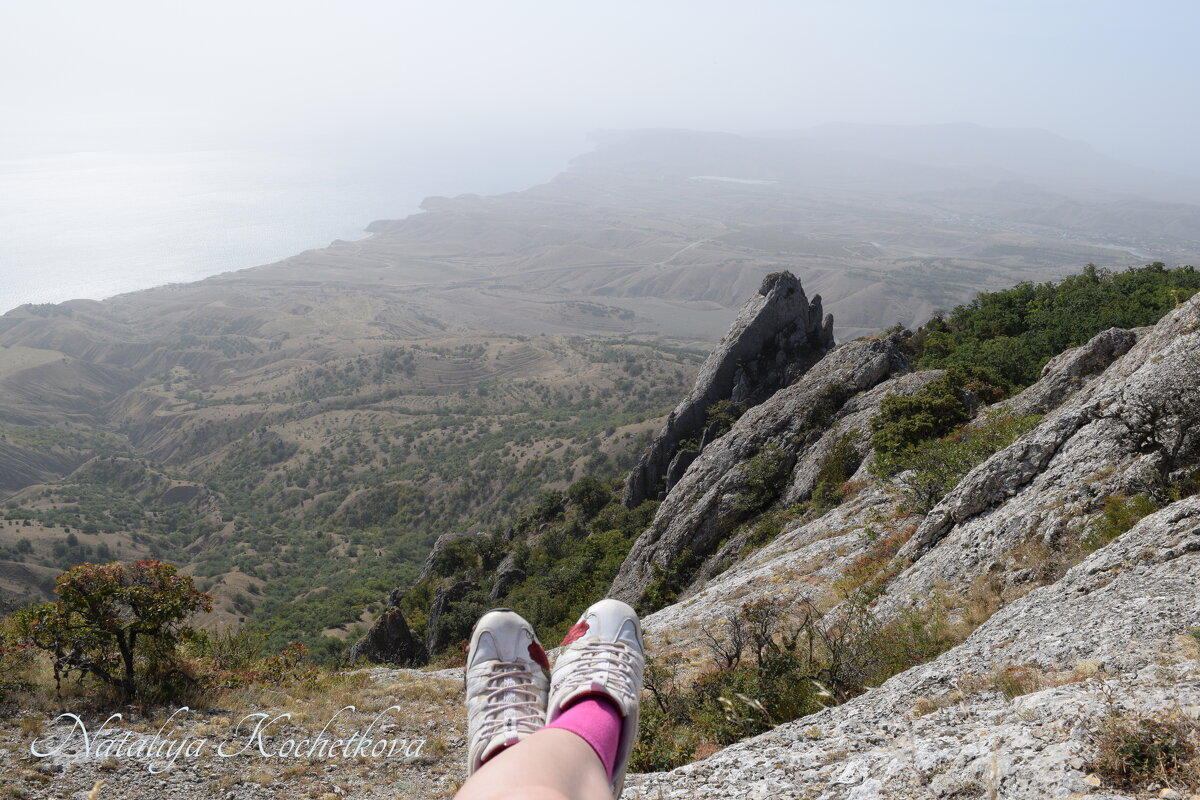 Природа Крыма - Amazing Cosmea