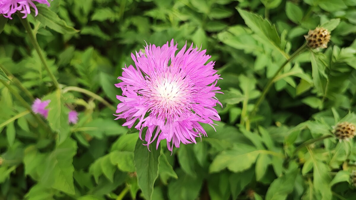 ,,, - Сергей Тимоновский