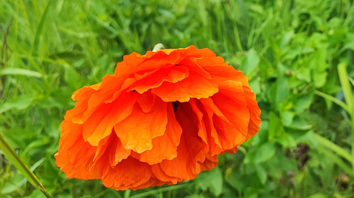 ,,, - Сергей Тимоновский ,,, - Сергей Тимоновский