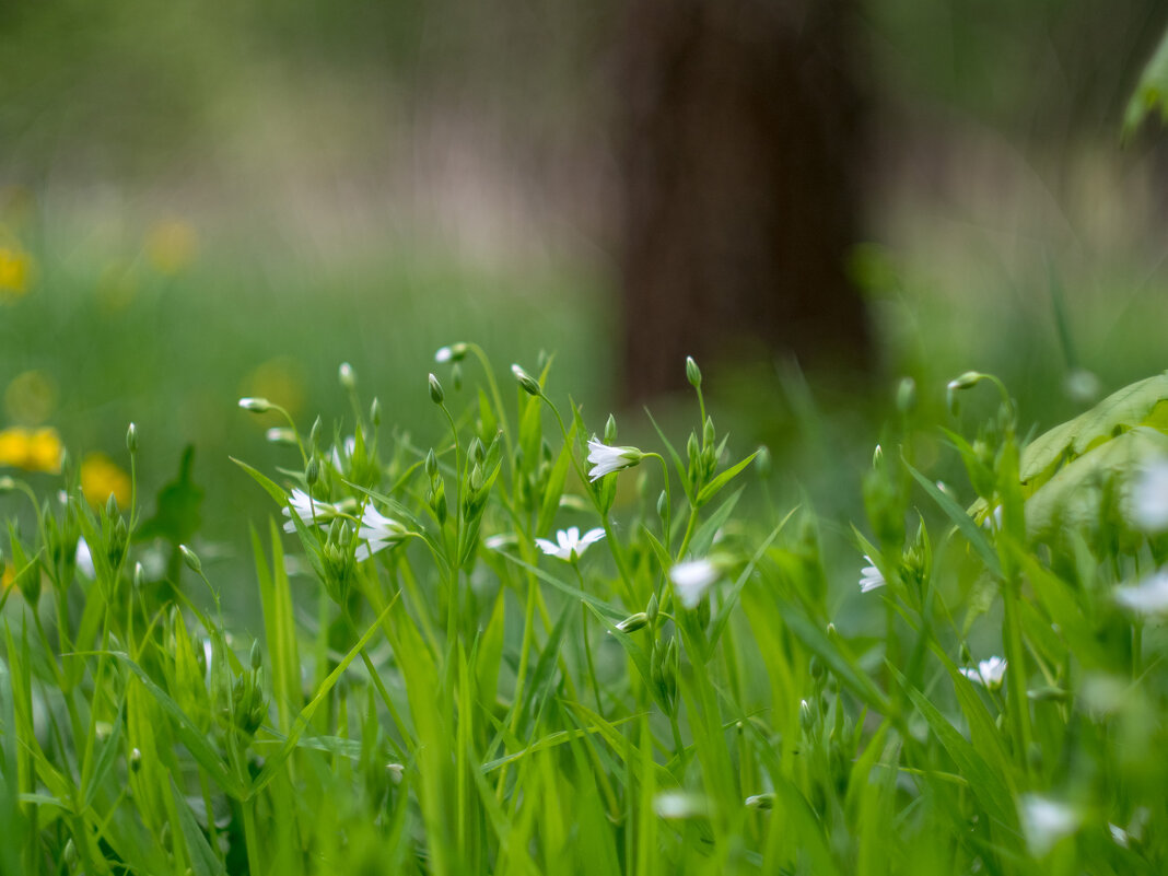 ___ - Yuriy V ___ - Yuriy V