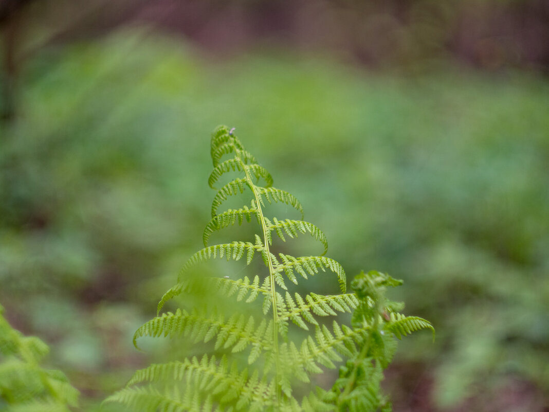 ___ - Yuriy V ___ - Yuriy V