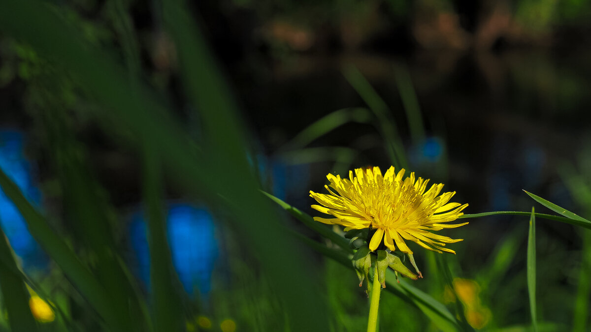 ***** - юрий поляков